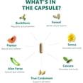 thumbnail image 2 of Digestic Digestive Support Capsules, Herbal Blend for Gut Health & Regularity Support, Daily Wellness Supplement, 60 Count, 2 of 7