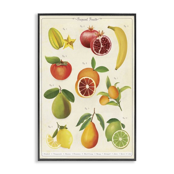 Stupell Industries Victorian Vintage Tropical Fruit Studies Black Framed Giclee Art, 12 x 18, by Diane Neukirch