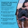 thumbnail image 6 of Animal Essentials Healthy Gut 1-Ounce Herbal Prebiotic Formula for Dogs and Cats, 6 of 9