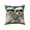C, variant on Colorful Cute Animals Print Pillow Set Bedroom Living Room Sofa Cushion 45x45 Cm For Sofa Living Room Decoration(not include Core)