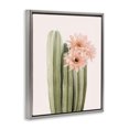 thumbnail image 2 of Stupell Industries Bohemian Pink Flower on Cactus Gray Floating Frame Canvas Art, 25 x 31, by Sisi and Seb, 2 of 7