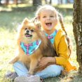 thumbnail image 5 of Easter Pack of Two Translucent Chiffon Yarn Cat Scarves - Breathable Pet Collars Set - 16x16x22.8 in and 20.9x20.9x30 in Sizes, 5 of 5