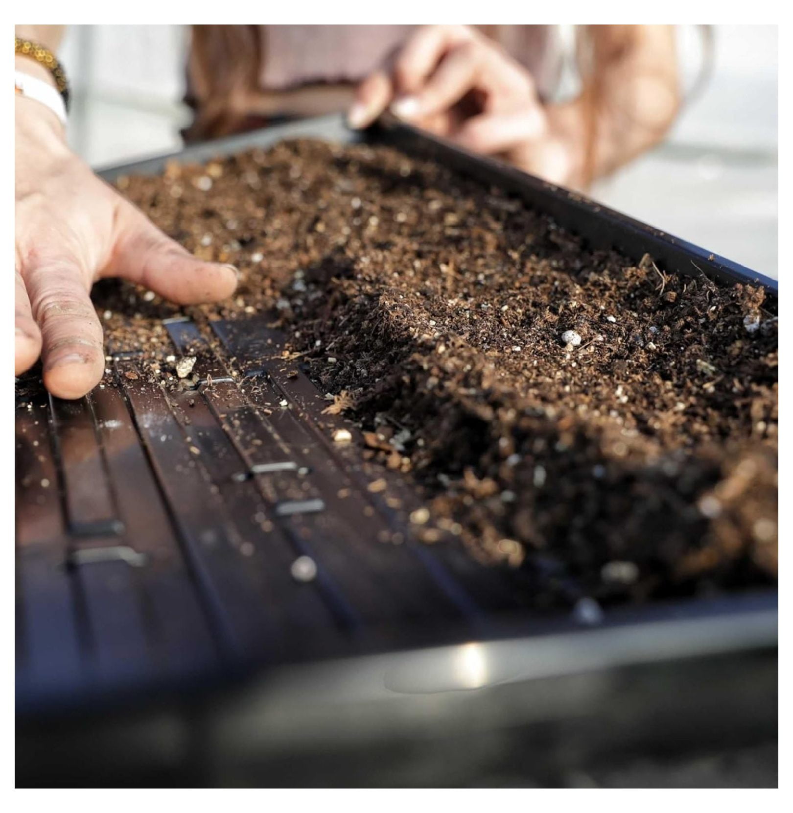 Microgreen 1020 Trays, Shallow Extra Strength 10 Pack Seed Tray with Holes - Grow Fodder, Wheatgrass, Sprouting, Plants Growing