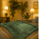 thumbnail image 2 of Cama Para Perro Q Perrón Raza Chica Cómoda Color Verde, 2 of 7