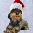 thumbnail image 2 of CafePress - FIN Wirehaired Dachshund Santa CROP Baby Football - Cute Infant Baby Football Bodysuit, 2 of 3