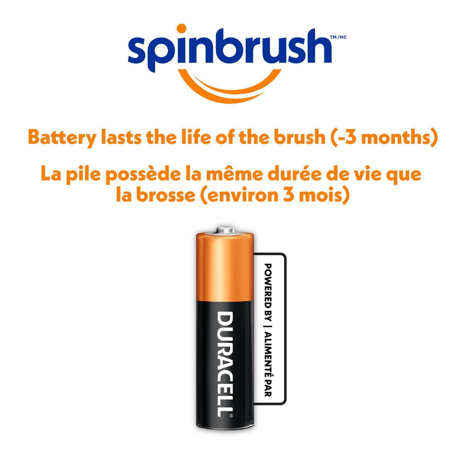 Spinbrush Brosse à dents à piles, soies moyennes