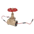thumbnail image 4 of Interruptor de lámpara Steampunk LHCER Interruptor de luz industrial 12V/120V con válvula roja, 4 of 8