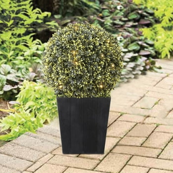 Better Homes & Gardens 20" Outdoor Artificial Topiary Decor in Black er, with Battery-Operated LED Lights