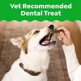 thumbnail image 5 of Greenies Original Flavor Adult Natural Dental Dog Treats Petite Size, 6 oz Pack (10 Count), 5 of 16