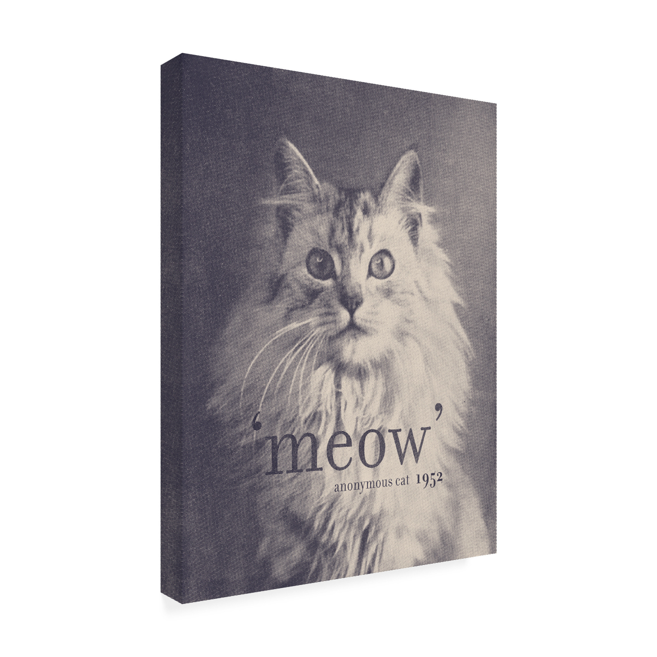 Trademark Fine Art Florent Bodart  Famous Quote Cat Canvas Wall Art