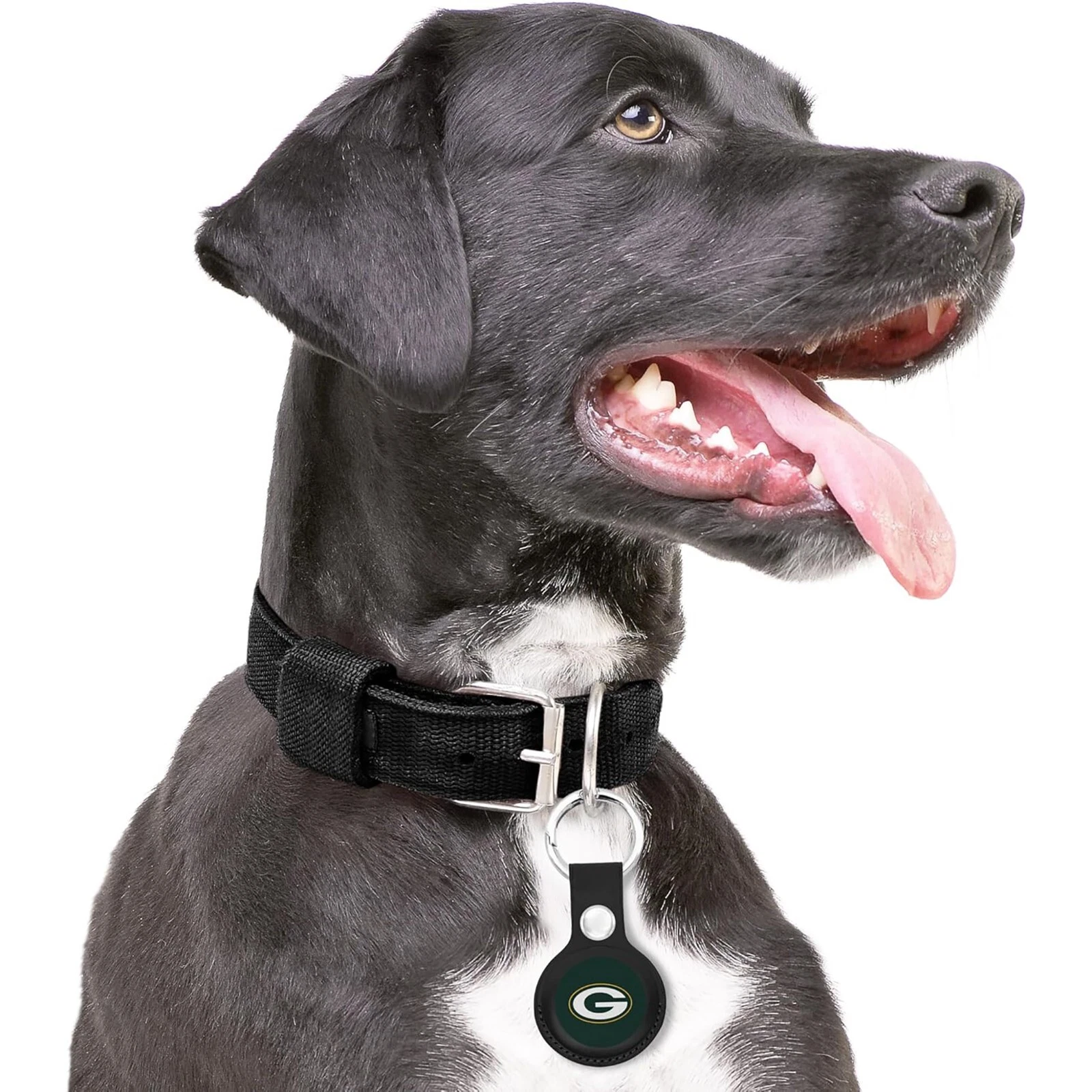 Pets First NFL Leather Keychain Apple Air Tag Holder for Dogs & Cats Airtag Case