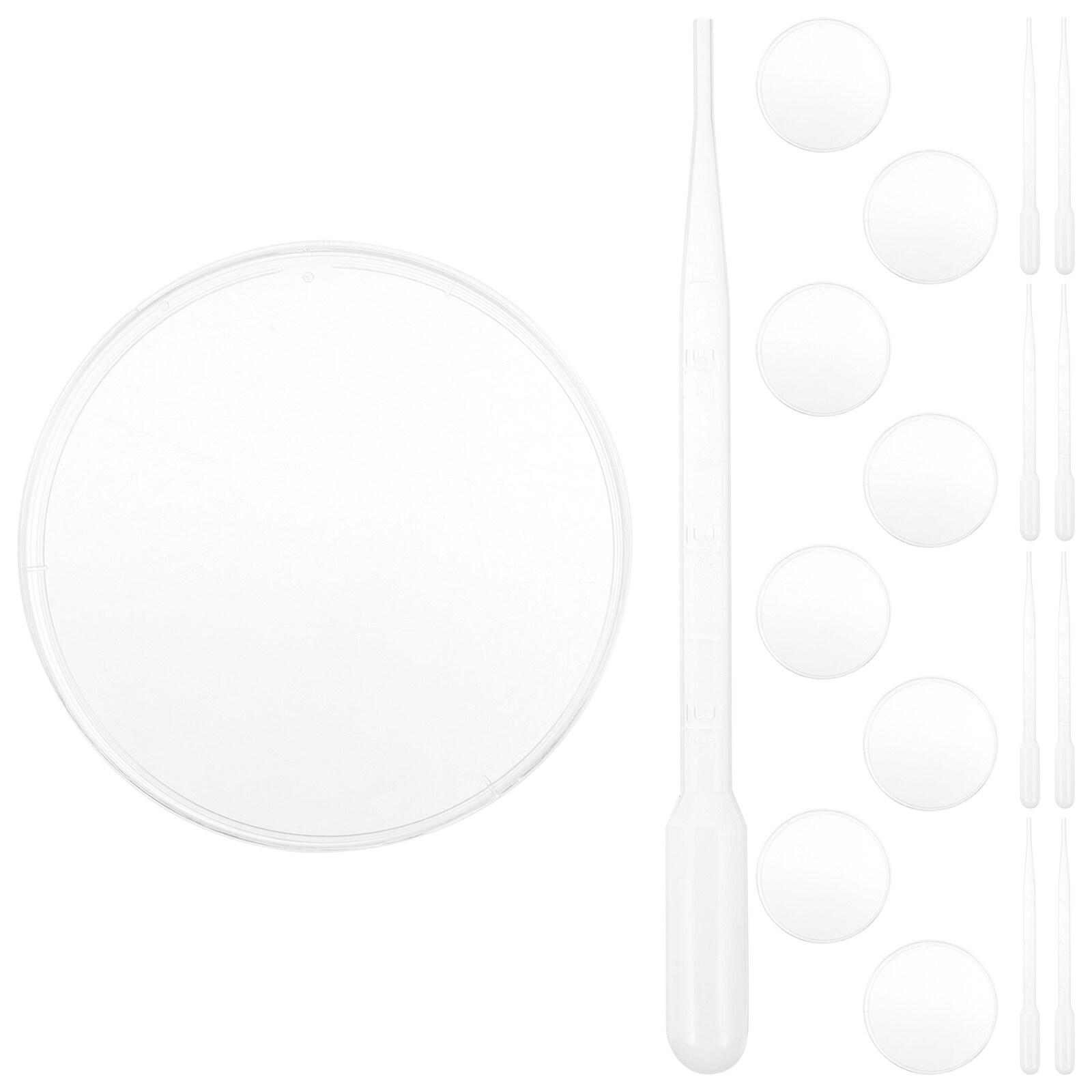 Petri dishes with agar jelly 10pcs Plastic Petri Dishes Laboratory
