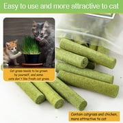 HavenJanny 50g Freeze-Dried Chicken Cat Grass Teething Stick - Edible Cat Treats for Teeth Cleaning & Hairball Removal