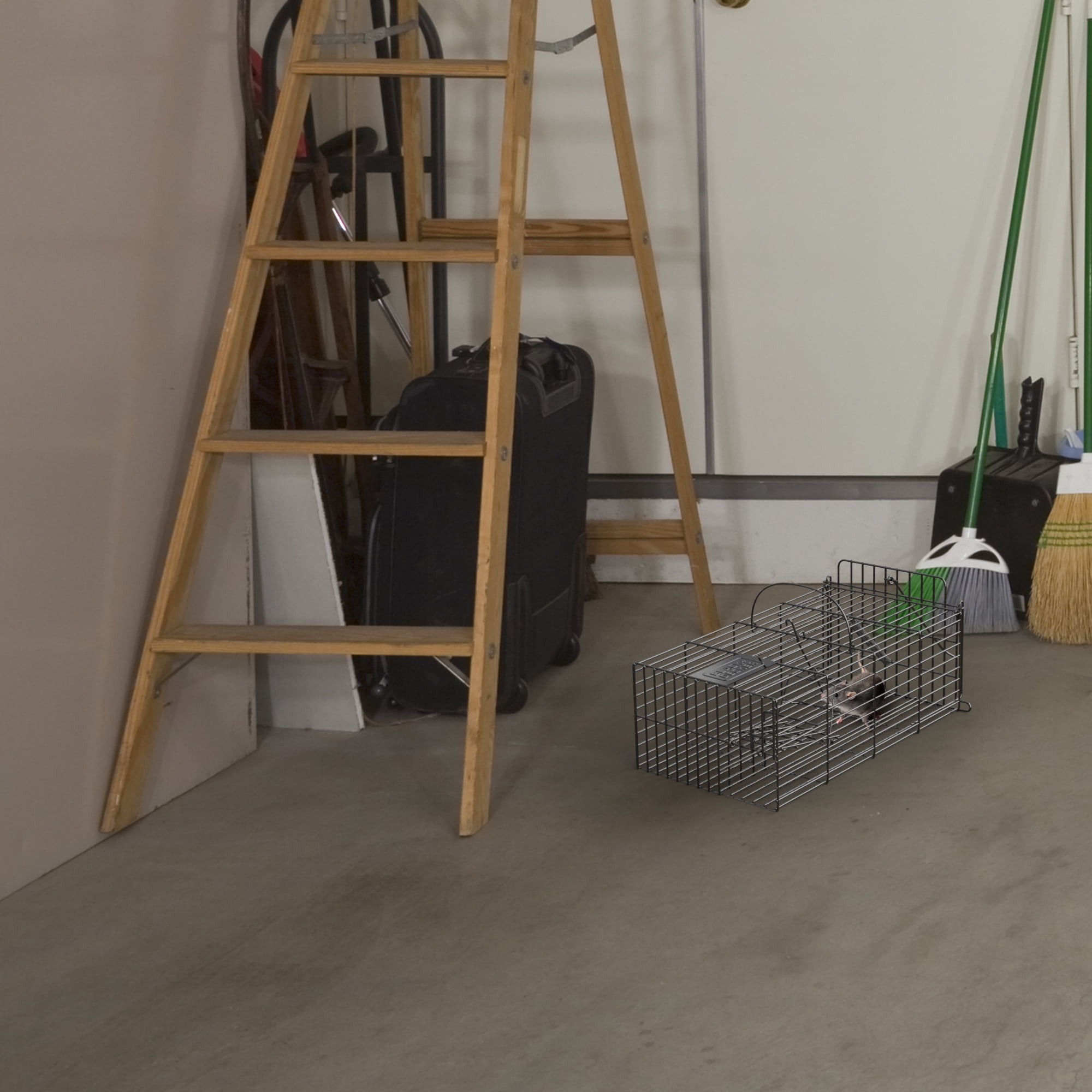 BLACK+DECKER Rat Trap Outdoor and Rat Traps Indoor - MouseTraps