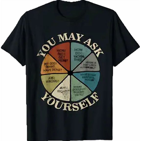 Vintage You May Ask Yourself Once in A Lifetime Pie Chart T-Shirt