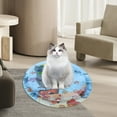 Walbest Water Sensory Playmat Interactive Cat Toys Self Play Mat with