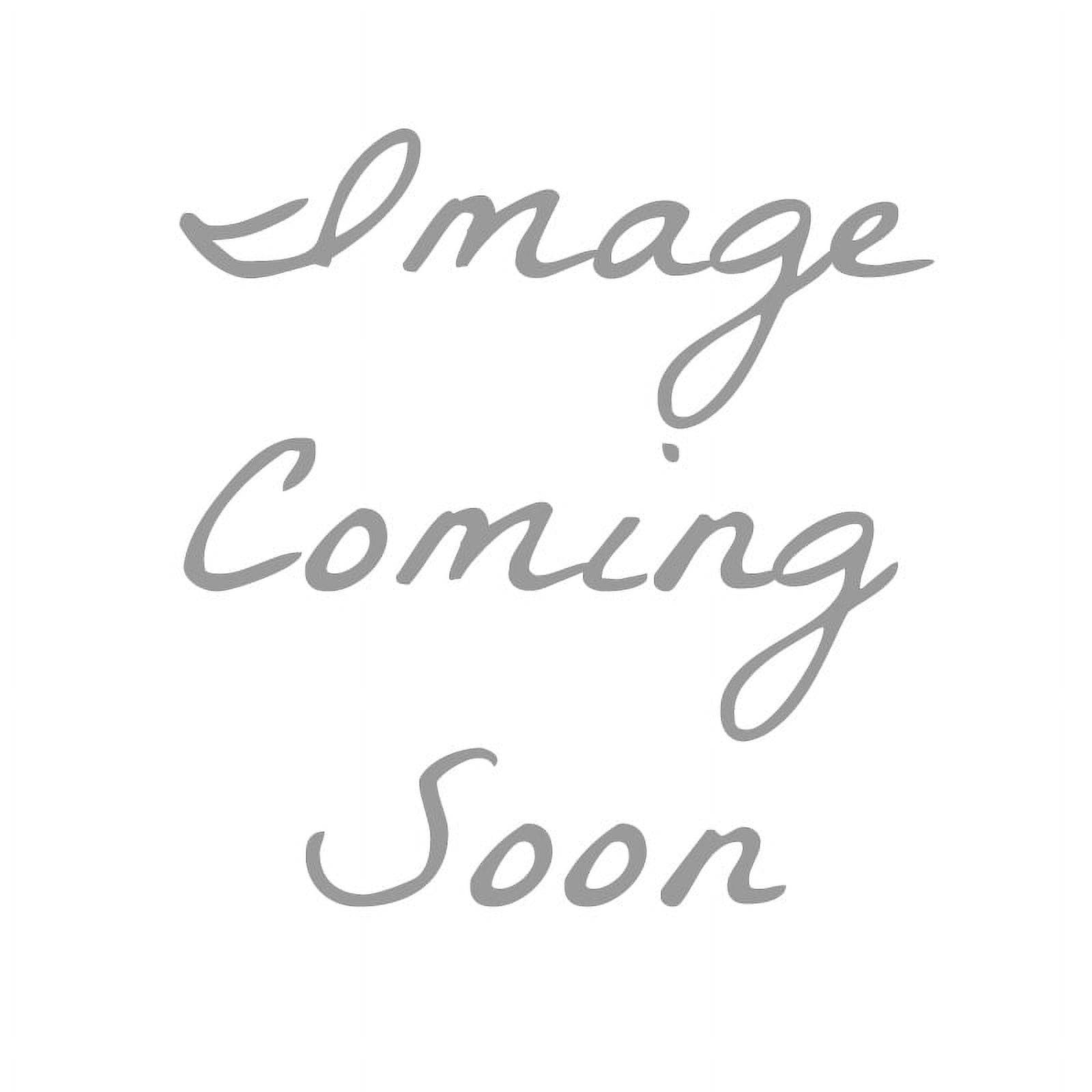 Ribbon Traditions Horizontal Glitter / Sequin Stripes Sheer Wired Ribbon 2 1/2 Inch by 25 Yards - Silver