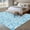 SkyBlue, variant on Round Area Rug 3 Ft, Beige Spring Floral Washable Non-Slip Circle Carpet for Living Room/Bedroom, Farmhouse Flowers Elegant Pastoral Low-Profile Small Floor Mats Collection Rugs for Indoor