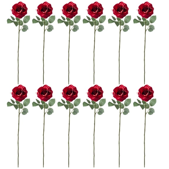 12 Pack: Dark Red Princess Rose by Ashland