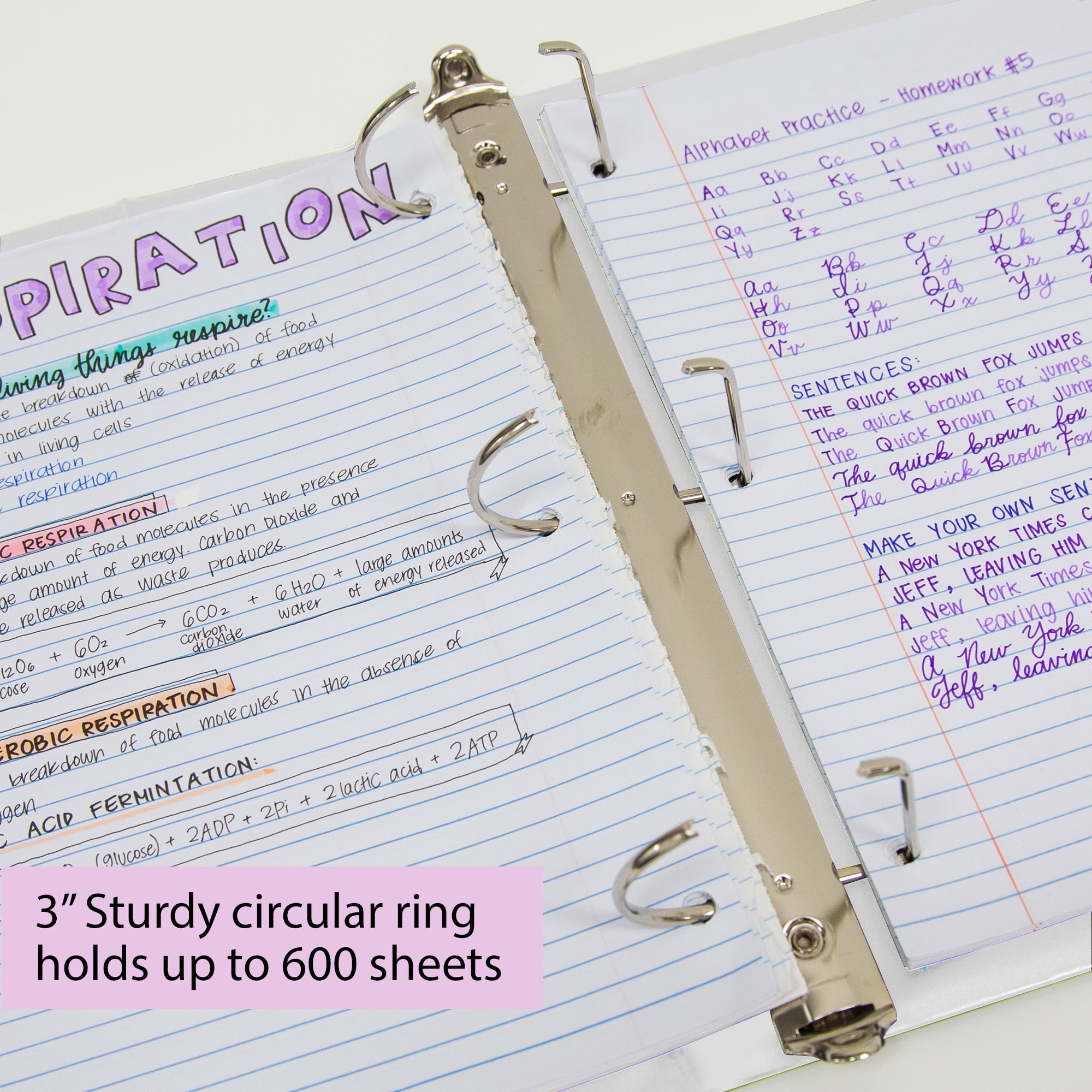 BAZIC 3 Ring Binder 3" View Binders Slant D Ring White, Hold 600 Sheets Paper, 4-Count