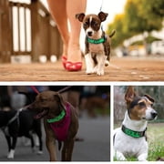Leadleds Light Up LED Dog Collar, Polyester, Adjustable, Safety Glow, Fashion Collar, Green