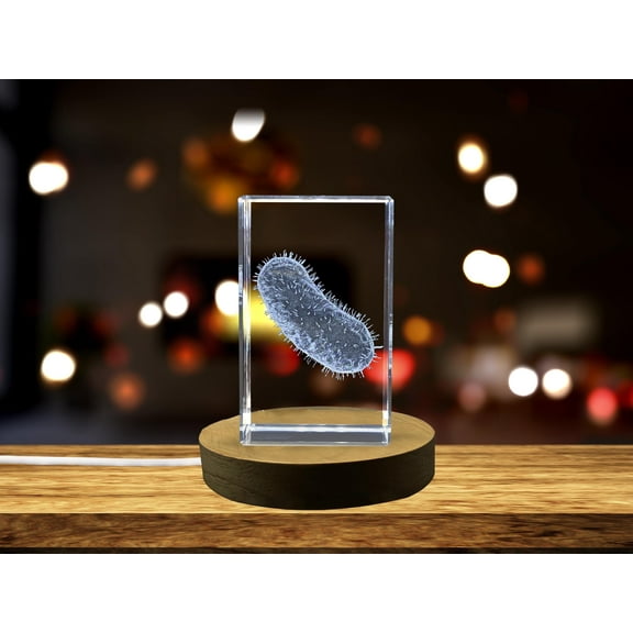 Microscopic Wonder: 3D Engraved Crystal Bacillus Bacteria