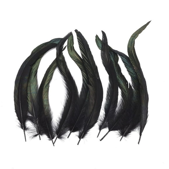 10pcs/pack Natural Ostrich Craft Black Feather for Centerpieces DIY Wedding Home Party Decorations Feather Supplies Jewelry Making