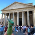 thumbnail image 3 of Felt Gator Finger Puppet, 3 of 6