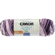 Caron Simply Soft Ombres Yarn 24/Pk-Grape Purple