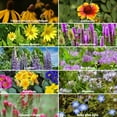 thumbnail image 5 of Wildflower Seeds Bulk, 2 Oz. 80,000+ Seeds – Save The Bees Mix with 19 Non-GMO Varieties – Bee Friendly & Pollinator Wildflower Seed for Planting, 5 of 7