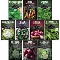 10 Pack Spring Vegetable Seed Collection – Full Sun, Annual Non-GMO Varieties