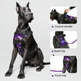thumbnail image 6 of MASBRILL No Pull Dog Harness, Reflective Dog Vest with Handle No Choke Soft Padded Dog Harness for Small Medium Large Dogs, 6 of 8
