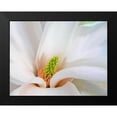 thumbnail image 2 of Lavoie, Tina 14x12 Black Modern Framed Museum Art Print Titled - Magnoliaceae, 2 of 5