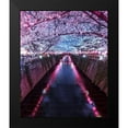 thumbnail image 2 of F4 Passion 15x17 Black Modern Framed Museum Art Print Titled - Sakura Season, 2 of 5