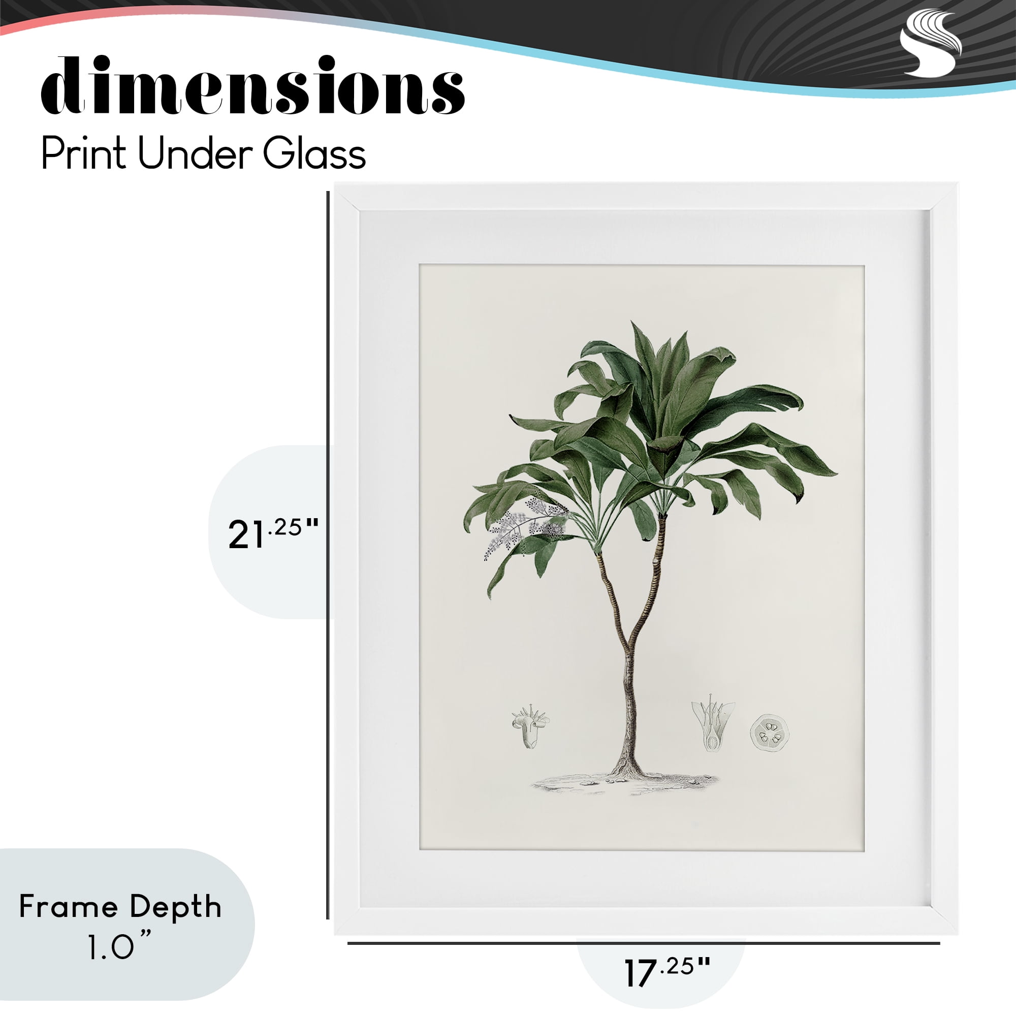 Stupell Industries Coastal Palms Vintage White Framed Print Under Glass, design by Val Rhodes