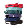 thumbnail image 5 of Collar de perro grueso y ajustable de lujo (azul, rojo, negro, morado, rosa), 5 of 5