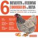 thumbnail image 5 of Snack para gallinas COOHGRUBS larvas de mosca soldado negra BSF 2,27 kg alto en proteína, 5 of 8