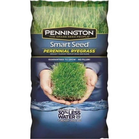 Pennington Smart Seed 100543717 Grass Seed, 3 lb Bag