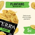 thumbnail image 2 of TERRA Plantain Vegetable Chips, Sea Salt, 5 oz., 2 of 7