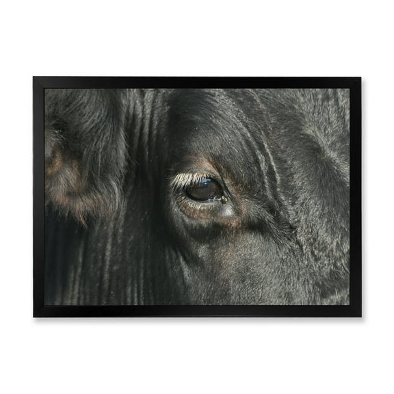 Designart 'Close-Up Of Cow Eye' Farmhouse Framed Art Print