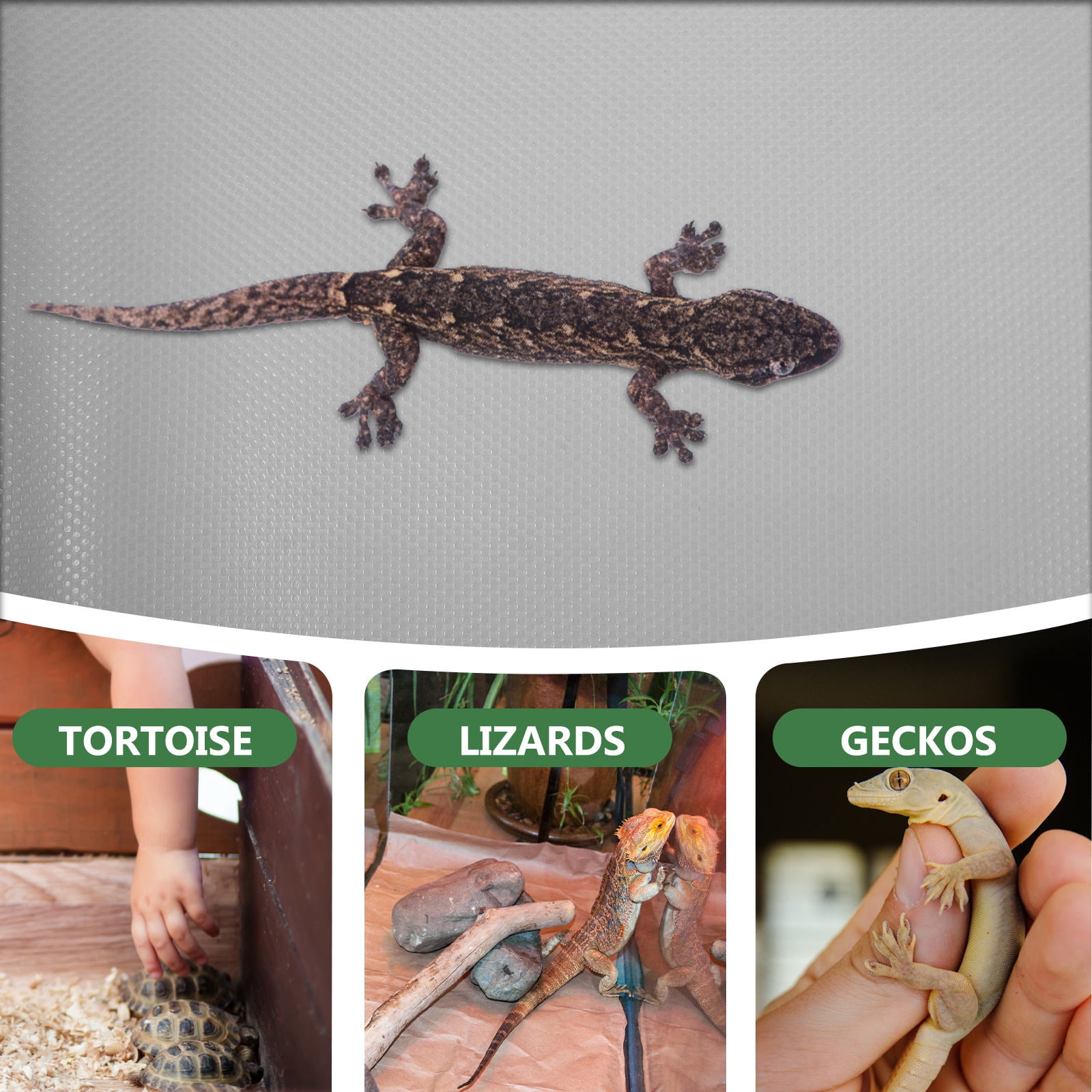 CHICHUMID Reptile Carpet Terrarium Bedding Liner for Geckos and Lizards Eva