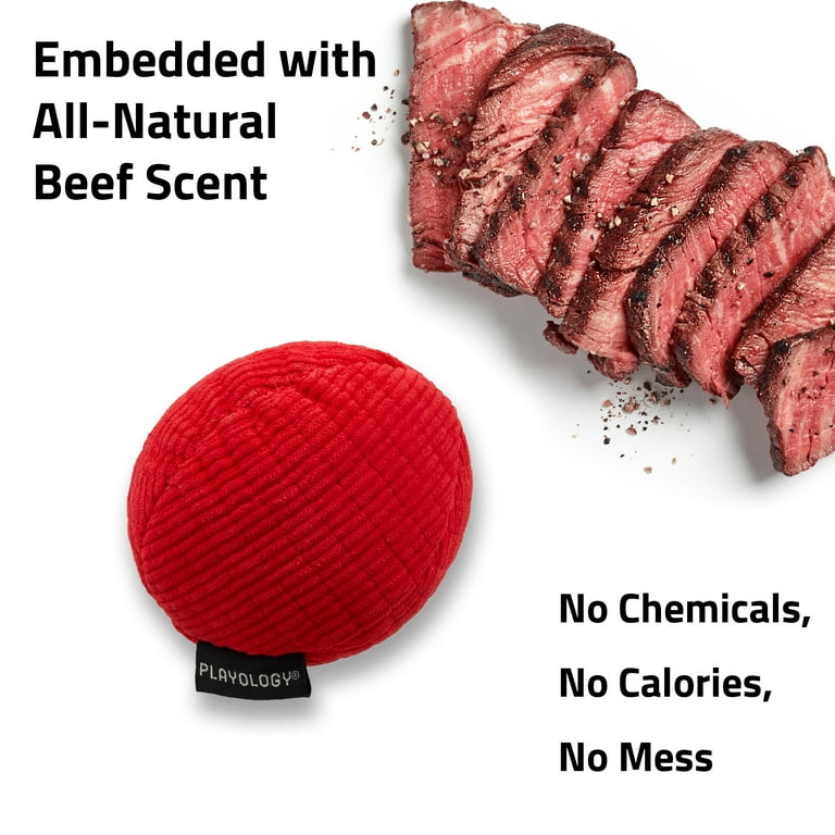 Playology Plush Ball Beef Scented Dog Toy Playology Plush Ball Beef Scented Dog Toy