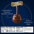 thumbnail image 6 of Lindt LINDOR Assorted Dark Chocolate Candy Truffles, 12.7 oz. Bag, 6 of 12
