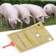 thumbnail image 4 of 50pcs 100ml Disposable Plastic Pig Insemination Semen Bag Veterinary Equipment, 4 of 4