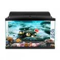 thumbnail image 4 of Fish Tank Background Poster,PVC Adhesive Seabed Rock Aquarium Background Poster Fish Tank Poster Modern Innovation, 4 of 8