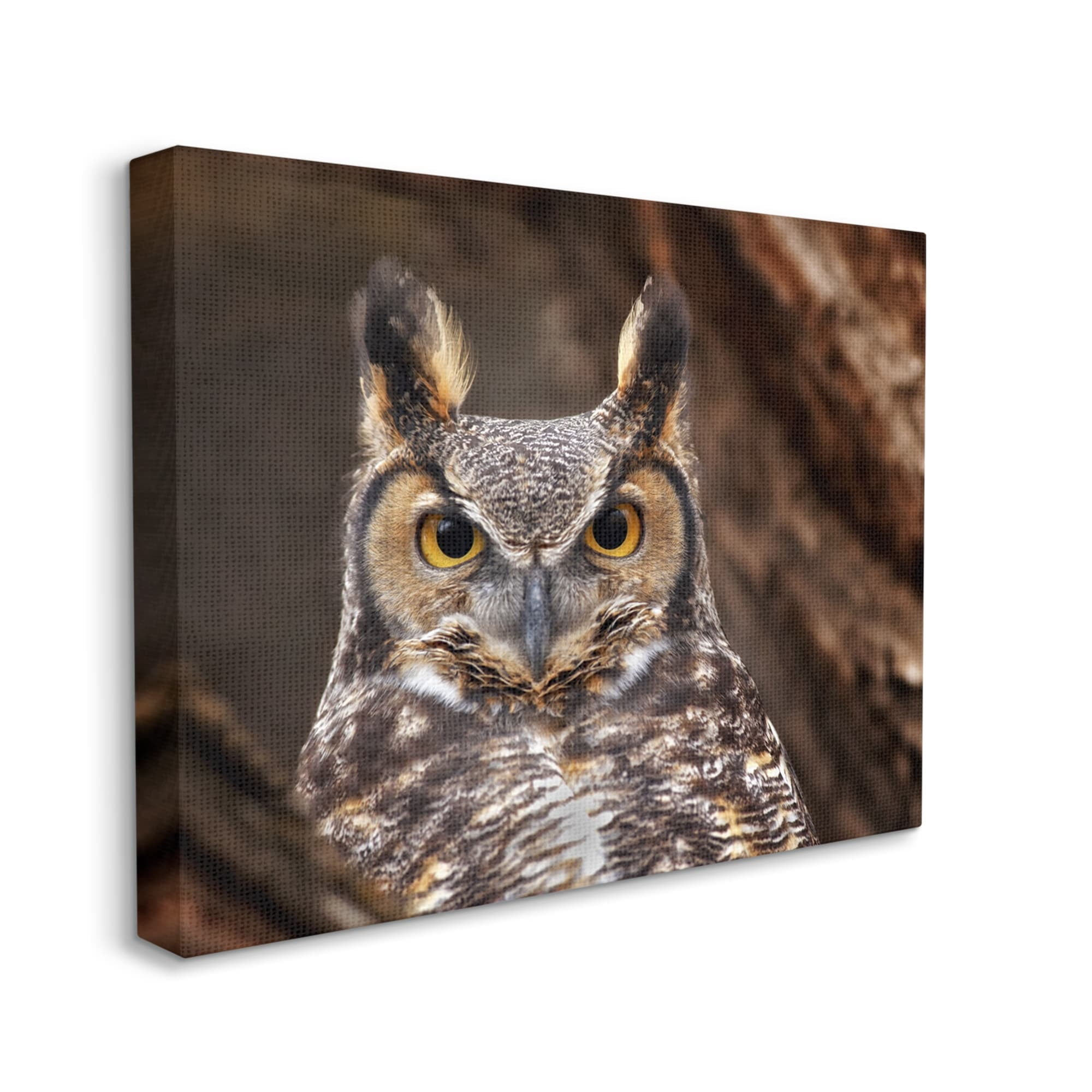 Stupell Industries Horned Owl Nature Photography Animals & Insects Photography Gallery Wrapped Canvas Print Wall Art