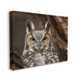 thumbnail image 2 of Stupell Industries Horned Owl Nature Photography Animals & Insects Photography Gallery Wrapped Canvas Print Wall Art, 2 of 5