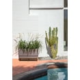 thumbnail image 5 of Veradek Demi Series Raised 30" Long Plastic-Stone Planter - (Gray/Brown, 2 Pack), 5 of 9