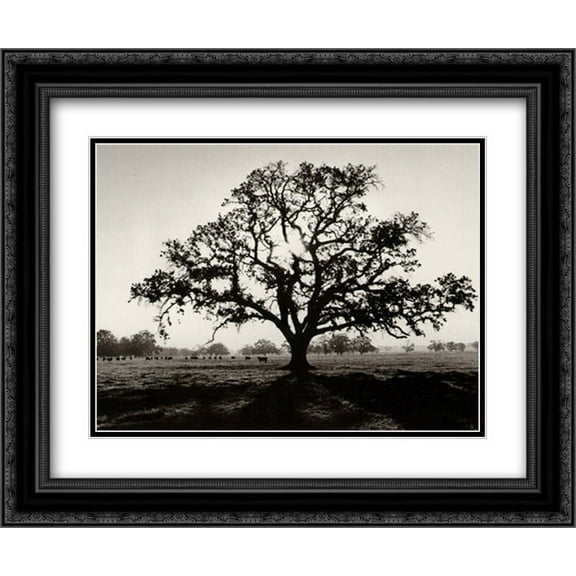 Oak Tree Sunrise 2x Matted 15x18 Black Ornate Framed Art Print by Ansel Adams
