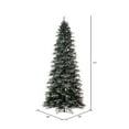 thumbnail image 3 of Vickerman 5.5' x 36" Frosted Douglas Fir Artificial Slim Unlit Christmas Tree., 3 of 5